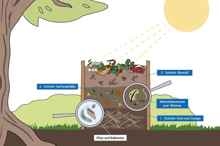 Eine farbenfrohe Infografik zeigt den dreistufigen Schichtaufbau eines Gartenkomposters im Freien. Von unten nach oben besteht dieser aus einer ersten Schicht aus Ästen und Zweigen zur Belüftung, einer zweiten Schicht aus Gartenabfällen wie Laub und einer dritten Schicht aus Biomüll wie Küchenabfällen. Zwei kreisrunde Lupen-Ausschnitte verdeutlichen zudem die biologischen Helfer im Prozess: Eine Lupe zeigt vergrößerte Pilze und Bakterien, während die andere Kleinstlebewesen und Würmer bei der Zersetzung des organischen Materials darstellt. Infografik zum richtigen Schichten eines Komposts im Garten mit Ästen, Gartenabfällen, Biomüll sowie Mikroorganismen und Würmern unter der Lupe.