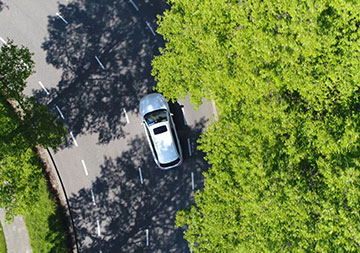 Selbstanlieferung Ein Auto fährt auf einer Straße. Am Straßenrand stehen grüne Bäume.