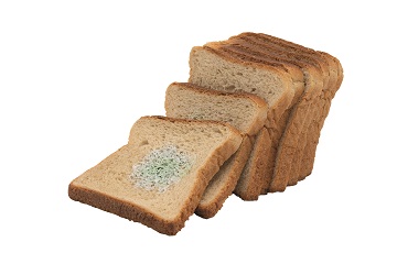 verschimmeltes Brot ohne Mülltüte